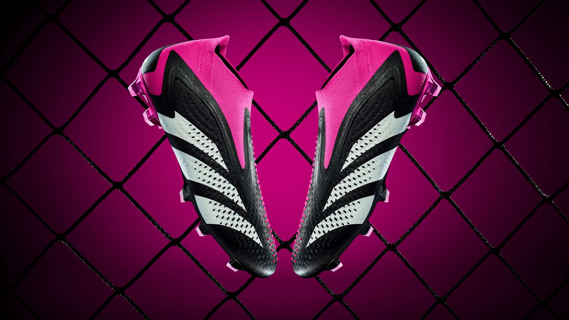 球迷们在社 球迷们在社