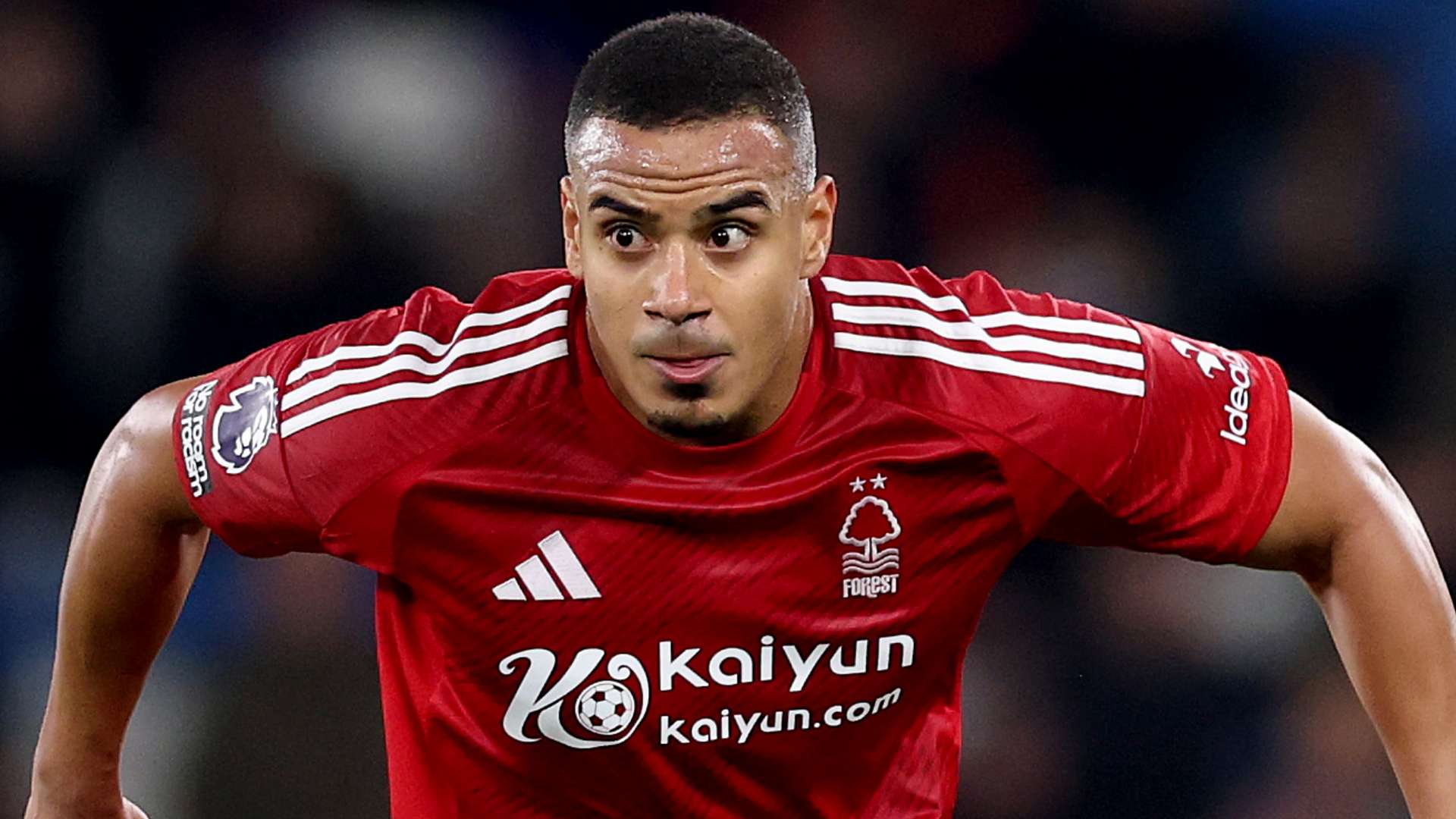 竞争压力 竞争压力