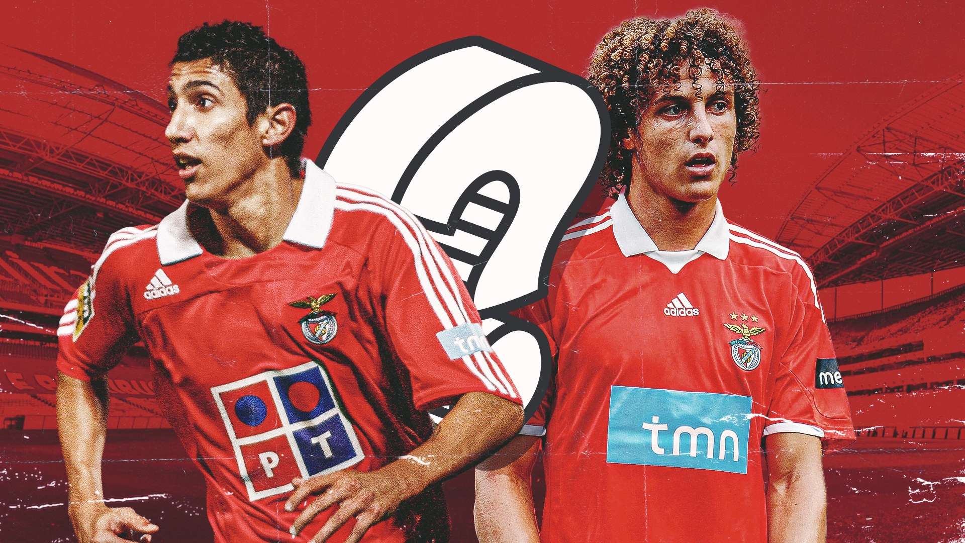 树立了明确 树立了明确